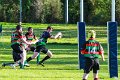Monaghan 2nd XV Vs Holywood 18_10_2014 (32)
